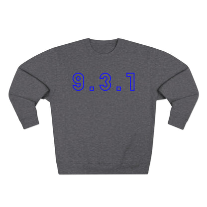 Copy of 931 Blue Hoodie