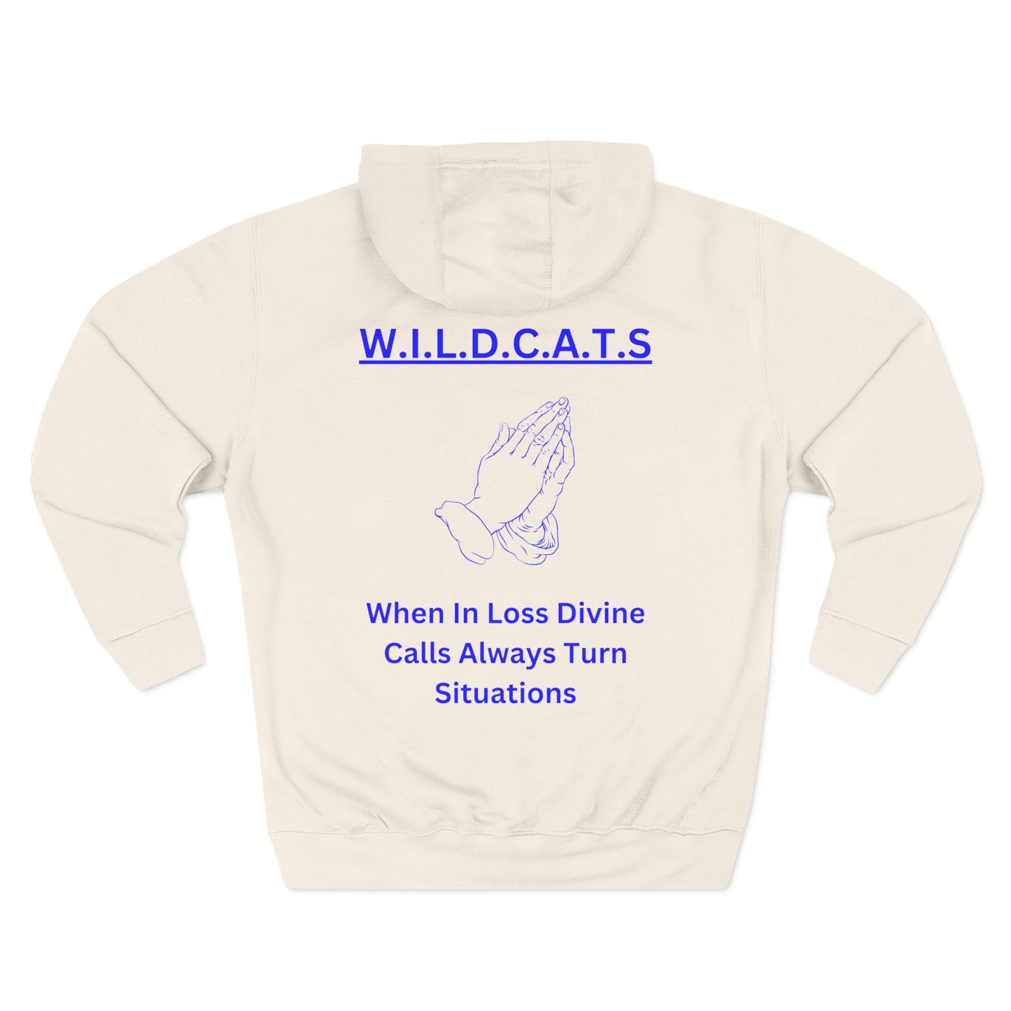 Wildcats Christian Blue Letters & Picture Hoodie