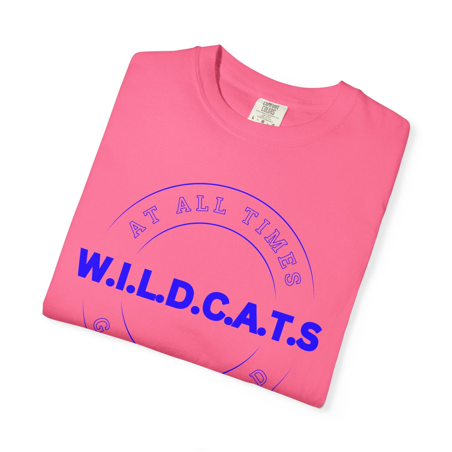Wildcats Christian Blue Letters & Picture