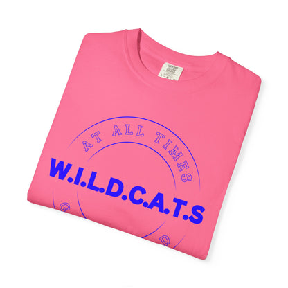 Wildcats Christian Blue Letters & Picture