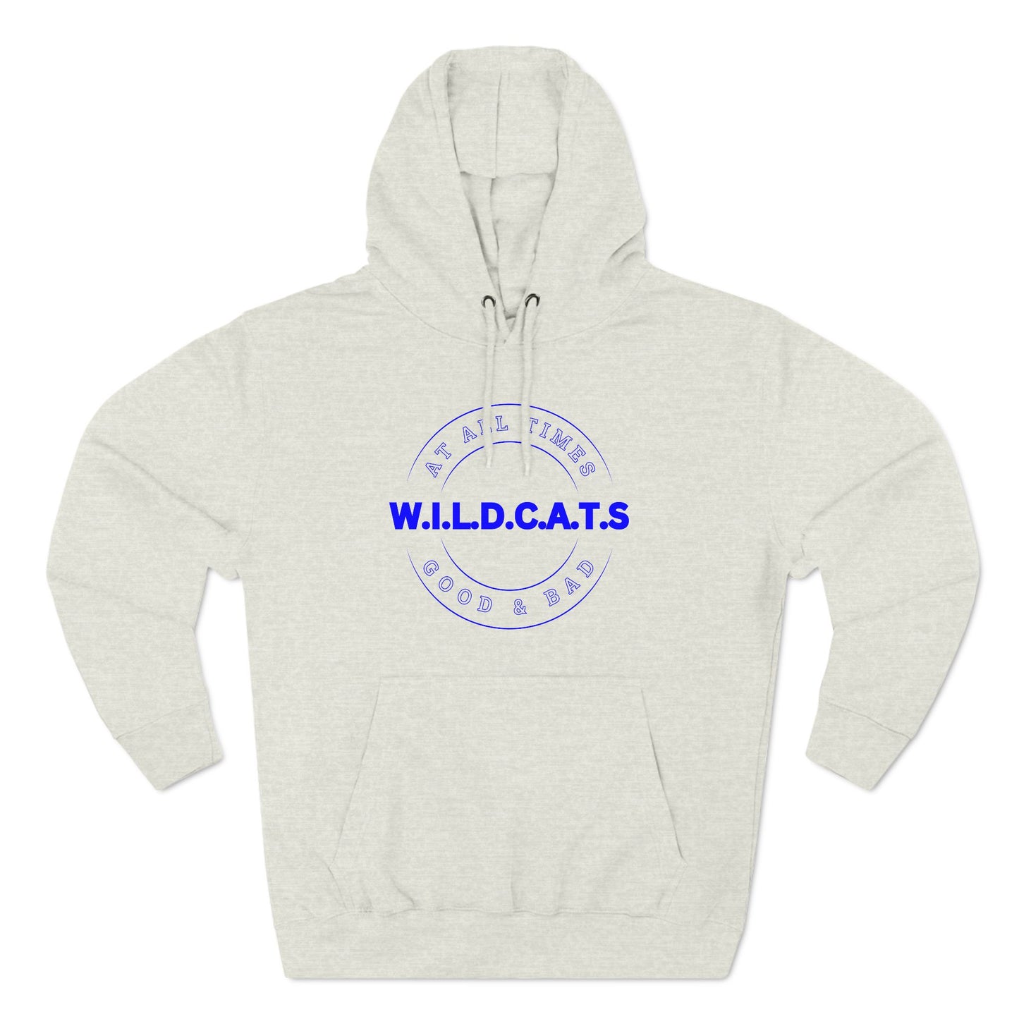 Wildcats Christian Blue Letters & Picture Hoodie