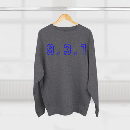 Copy of 931 Blue Hoodie