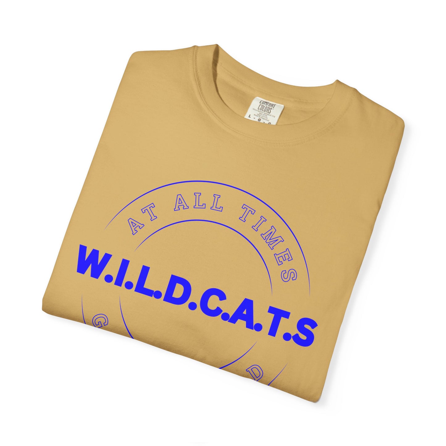 Wildcats Christian Blue Letters & Picture