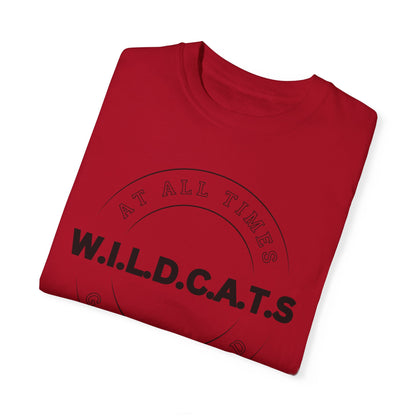 Wildcats Christian Black Letters & Picture